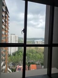 Amo Residence (D20), Apartment #527470311